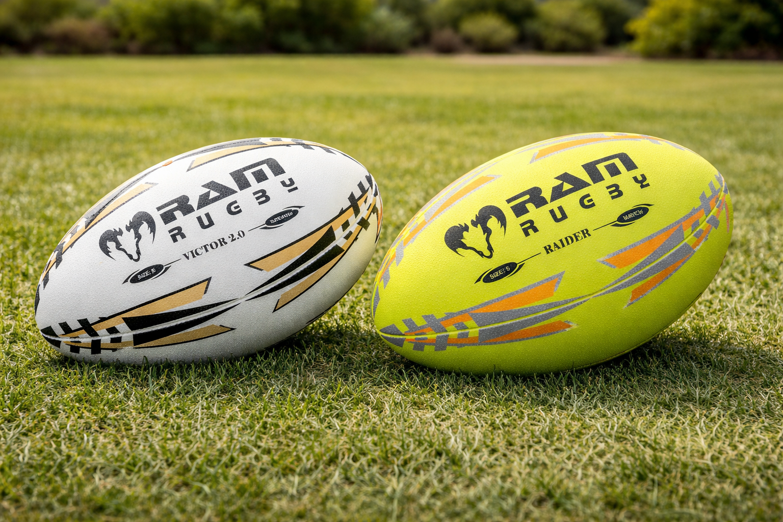 Are Expensive Rugby Balls Really Better? What You Get for Your Money