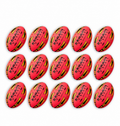 Ram Rugby Gripper 2.0 Pro Trainer Neon Pink Ball Bundle 15 Balls
