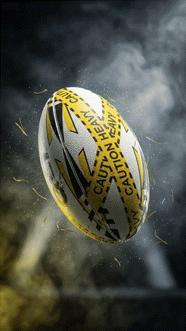 Ram Rugby Pass Developer Weighted Training Ball for Passing Skills